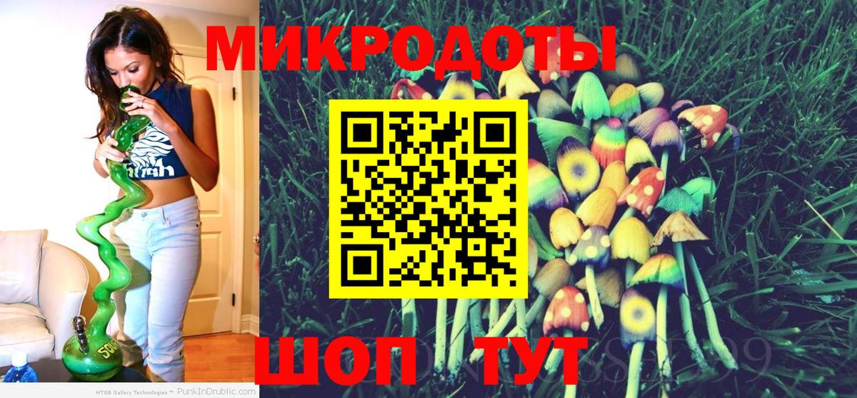 Псилоцибиновые грибы Cubensis Красноуфимск