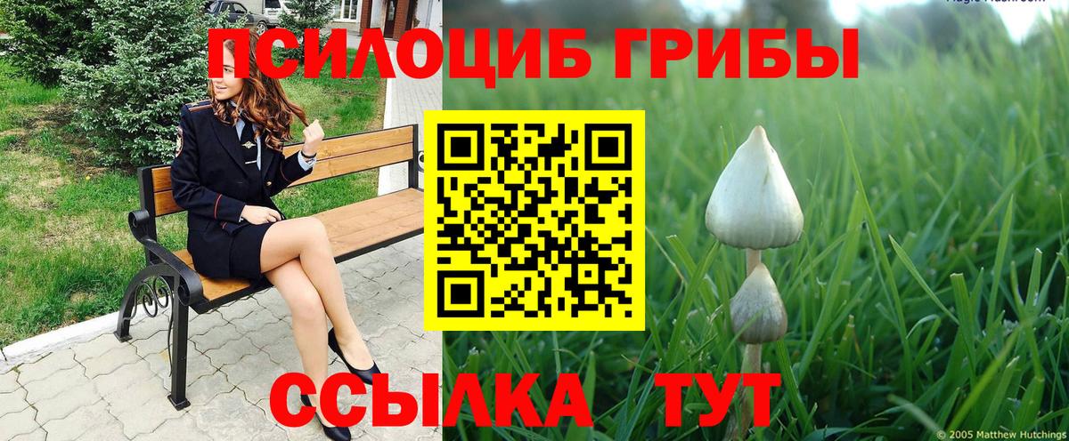 Красноуфимск  Галлюциногенные грибы мухоморы  Вход с VPN 